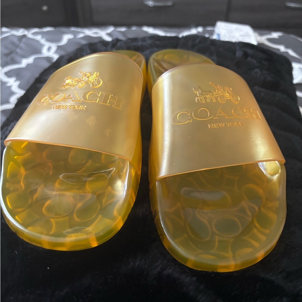 COACH POOL SLIDES
